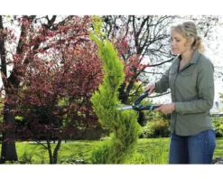 GARDENA Precisioncut Buxusschaar -Gardena Shop DV 8 10208291 08 4c DE 20230427161800