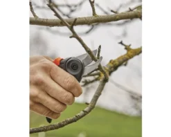 GARDENA Snoeischaar Expertcut RVS -Gardena Shop DV 8 10334207 02 4c DE 20230223141750