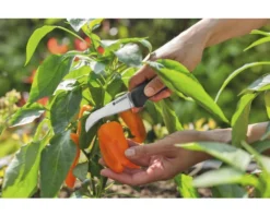 GARDENA Handschaar Veggiecut RVS -Gardena Shop DV 8 10602962 02 4c DE 20230109124651