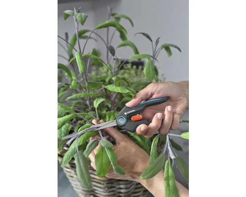 GARDENA Handschaar Freshcut RVS 5 GARDENA Handschaar Freshcut RVS - Afbeelding 5