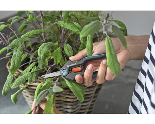 GARDENA Handschaar Freshcut RVS 7 GARDENA Handschaar Freshcut RVS - Afbeelding 7