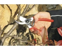 FELCO Snoeischaar Type 2 -Gardena Shop DV 8 1610157 05 4c DE 20201022151655