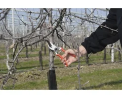 FELCO Snoeischaar Type 2 -Gardena Shop DV 8 1610157 06 4c DE 20201022151655