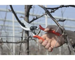 FELCO Snoeischaar Type 2 -Gardena Shop DV 8 1610157 07 4c DE 20201022151655