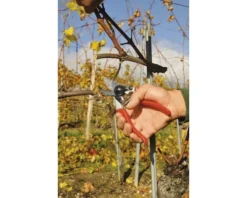 FELCO Snoeischaar 8T -Gardena Shop DV 8 2906961 04 4c DE 20201126111651