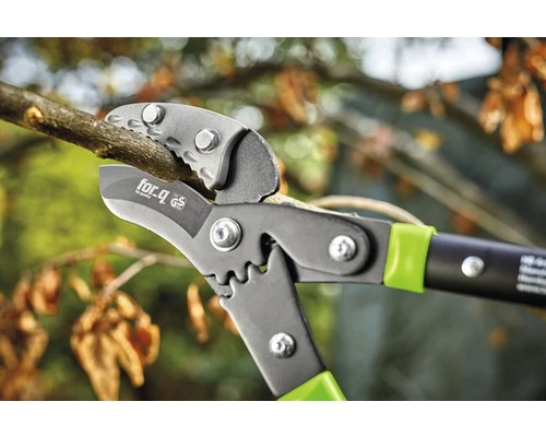 FOR_Q Transmissie Takkenschaar Incl. Klapzaag 2 FOR_Q Transmissie Takkenschaar Incl. Klapzaag - Afbeelding 2