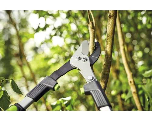 FOR_Q Takkenschaar Aandrijf Bypass 4 FOR_Q Takkenschaar Aandrijf Bypass - Afbeelding 4