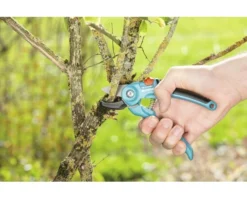 GARDENA Classic Aambeeld Snoeischaar -Gardena Shop DV 8 6274106 03 4c NL 20230223141750