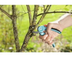 GARDENA Classic Aambeeld Snoeischaar -Gardena Shop DV 8 6274106 04 4c NL 20230223141750