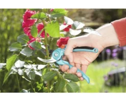 GARDENA Classic Snoeischaar 15 GARDENA Classic Snoeischaar -Gardena Shop DV 8 6274107 04 4c NL 20180214100519