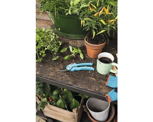 GARDENA Classic Snoeischaar 8 GARDENA Classic Snoeischaar - Afbeelding 8