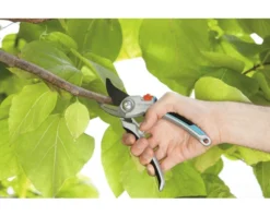 GARDENA Comfort Snoeischaar Luxe 12 GARDENA Comfort Snoeischaar Luxe -Gardena Shop DV 8 6274110 08 4c DE 20230510051753