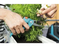 GARDENA Balkonschaar 5 GARDENA Balkonschaar -Gardena Shop DV 8 6603383 02 4c DE 20180210064237